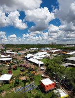 A Femec 2025 vai discutir o tema Inteligência Artificial no campo