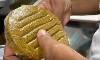 Pesquisadores conseguem fazer um hambúrguer de coco babaçu