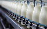 O mercado do leite e o que pode beneficiar o produtor este ano