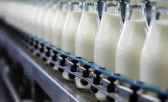O mercado do leite e o que pode beneficiar o produtor este ano