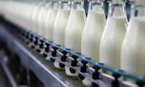 O mercado do leite e o que pode beneficiar o produtor este ano