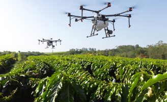 Um protetor solar ajuda a reduzir a queima de frutos na plantação e facilita a adaptação das plantas durante as mudanças climáticas