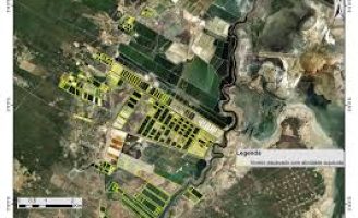 Uso de imagens de satélite vão ajudar muito na coleta de dados do Censo Agropecuário