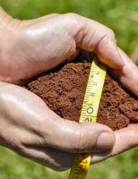 A importância do Zarc para a agricultura brasileira