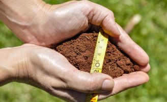 A importância do Zarc para a agricultura brasileira
