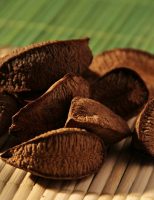Diminui a safra da castanha do Brasil por causa de queimadas e mudanças no clima