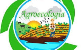 Dois eventos agroecológico e de educação no campo serão realizados em Pernambuco
