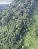 Recuperar vegetação em área desmatada pode gerar alimento, mais emprego e mais renda em Pernambuco