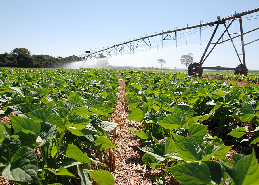 Um mapa de todas as regiões do Brasil para dizer ao agricultor onde plantar e o que plantar