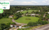 Oportunidade para quem tem interesse em apresentar iniciativas para a agricultura sustentável na COP 30