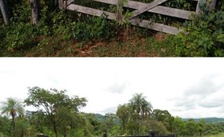 Orientações de como se deve administrar e cuidar de uma fazenda