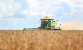 Cresce a safra da soja brasileira em 2025