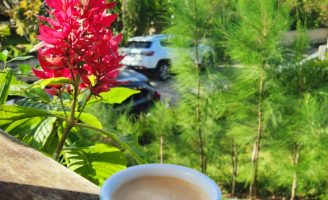 Produtores brasileiros de café exportam mais de 13 bilhões de dólares em um ano