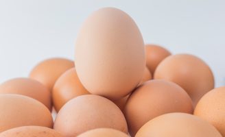 Avicultura: a importância de cuidar bem da qualidade da casca do ovo