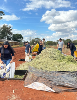Testados novos tipos de cobertura de plástico para conservar propriedades do silo