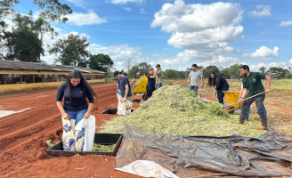 Testados novos tipos de cobertura de plástico para conservar propriedades do silo