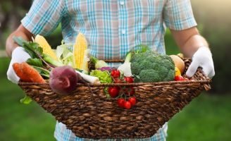 Pesquisador avalia que o agro brasileiro poderá alimentar 1 bilhão de pessoas no planeta