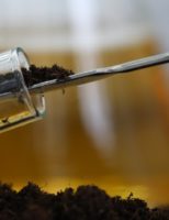 A importância do uso de bioinsumos no mundo e o crescimento do mercado de biofungicidas entre os produtores brasileiros