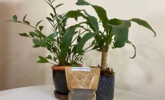 Fertilizante especial próprio para uso em plantas dentro de casa