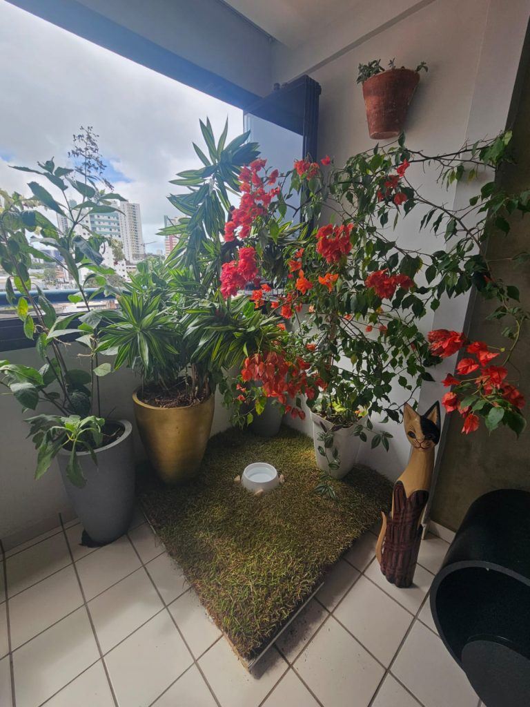 Um jardim em plena sala de um apartamento