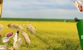 Pesquisadores lançam livro que discute a disponibilidade de novas matérias-primas para produção de biodiesel no Brasil