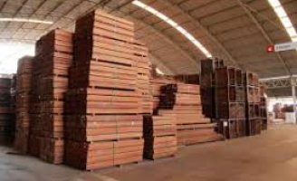 Mercado de madeira do Brasil pode ter reflexos significativos com a possibilidade do tarifaço dos Estados Unidos