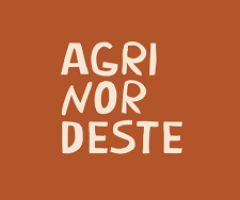 Crescimento do agronegócio em Pernambuco reflete um bom momento para a Agrinordeste