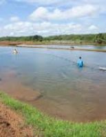 Sistema ajuda a produtores aquícolas a enfrentar as mudanças climáticas e fortalecer a produção