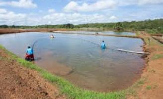 Sistema ajuda a produtores aquícolas a enfrentar as mudanças climáticas e fortalecer a produção