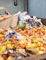 Resíduos de frutas e verduras serão usados para aumentar a produção de biogás no Brasil