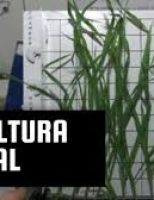 Começa hoje um encontro de cientistas para discutir como fazer agricultura no espaço