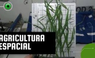 Começa hoje um encontro de cientistas para discutir como fazer agricultura no espaço