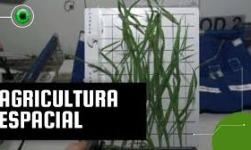Começa hoje um encontro de cientistas para discutir como fazer agricultura no espaço