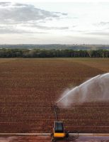 Uma nova contribuição da cana-de-açúcar para o agronegócio: pode garantir energia elétrica em época de seca