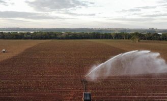 Uma nova contribuição da cana-de-açúcar para o agronegócio: pode garantir energia elétrica em época de seca
