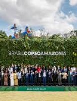 Visitantes internacionais da COP30 vão conhecer Tecnologias da Embrapa Pecuária Sudeste usadas para enfrentamento às mudanças climáticas