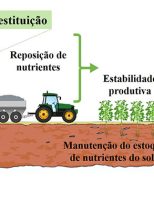 Técnica de Adubação de Restituição reduz os custos e recupera o solo de acordo com a necessidade das áreas