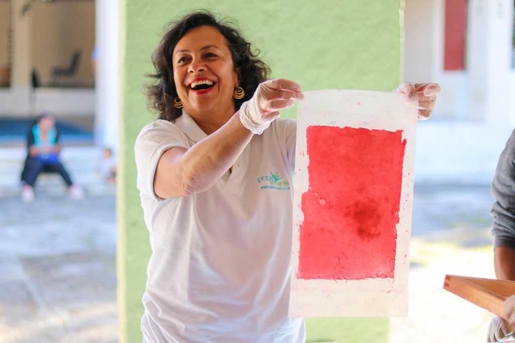 O incrível papel semente: pode ser usado, plantado e germinar