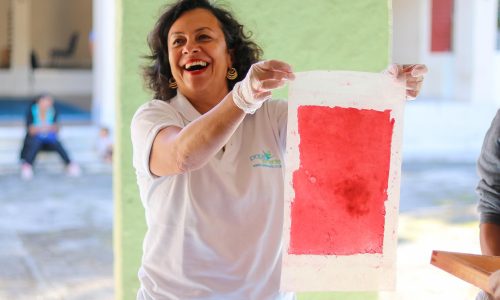 O incrível papel semente: pode ser usado, plantado e germinar