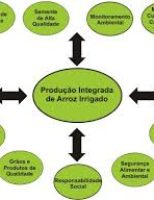 Agora só se fala em Sistemas integrados de produção e redução nos efeitos de emissão de gás carbônico