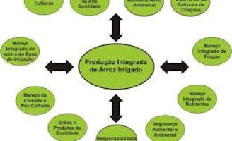 Agora só se fala em Sistemas integrados de produção e redução nos efeitos de emissão de gás carbônico