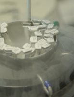 Pequenos produtores rurais vão ganhar inseminação artificial para melhorar o rebanho