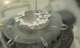 Pequenos produtores rurais vão ganhar inseminação artificial para melhorar o rebanho