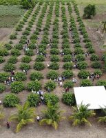 O projeto Lagos do São Francisco gerou quase R$ 3,00 em benefícios sociais para cada Real investido em favor do produtor rural do sertão Pernambucano