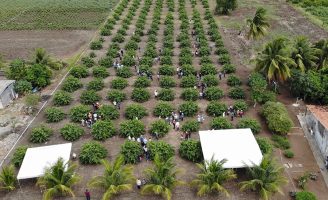 O projeto Lagos do São Francisco gerou quase R$ 3,00 em benefícios sociais para cada Real investido em favor do produtor rural do sertão Pernambucano