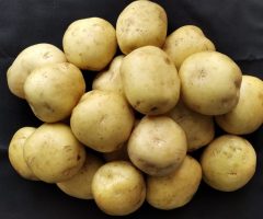 A importância da produção brasileira de batata inglesa