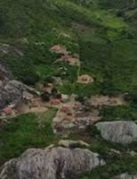 Área de reflorestamento da caatinga em Pernambuco vai ter ação de plantio de árvores na passagem do ano