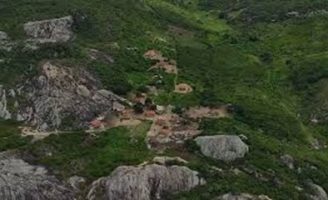 Área de reflorestamento da caatinga em Pernambuco vai ter ação de plantio de árvores na passagem do ano