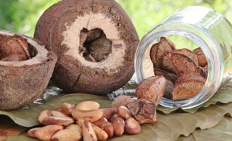 Castanha-do-brasil tem mais proteína que o trigo