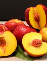 Vermelho intenso é a cor da nova cultivar de nectarina desenvolvida especialmente para o sul e sudeste do Brasil